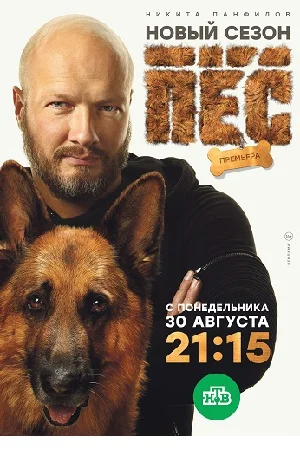 Пес 6 сезон (2020)